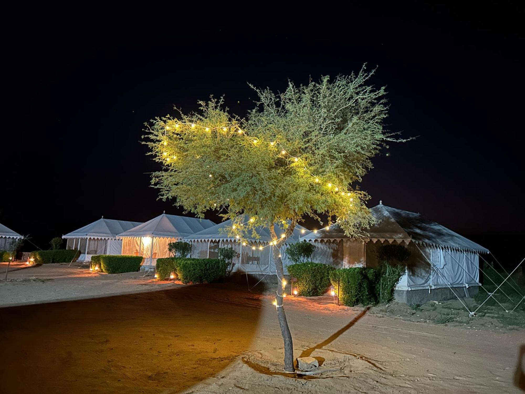 Sunny Desert Camp Kūri Kültér fotó